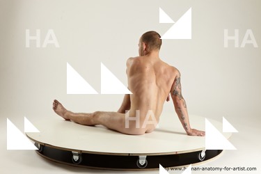 3f rex sitting 01 07b