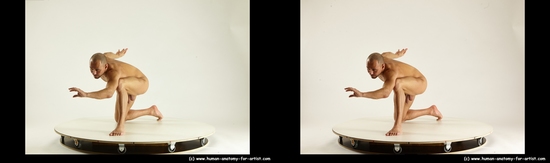 Nude Man White Kneeling poses - ALL Muscular Short Brown Kneeling poses - on one knee 3D Stereoscopic poses Realistic
