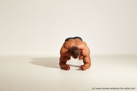 Underwear Gymnastic poses Man White Laying poses - ALL Muscular Short Brown Laying poses - on stomach Dynamic poses Academic