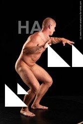 various reference of leland06