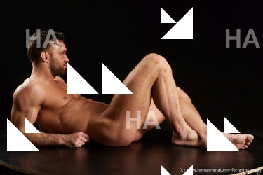 laying reference of larry steel13