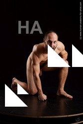 Man White Athletic Short Brown Standard Photoshoot Academic