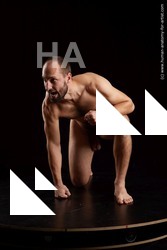 Man White Athletic Short Brown Standard Photoshoot Academic