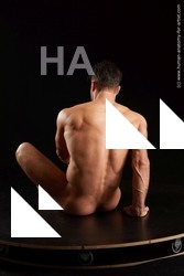 sitting reference of larry steel05