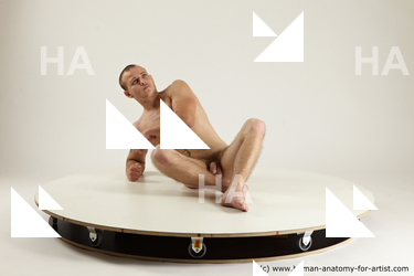 rex laying 04 01b