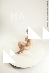 rex laying 04 04a