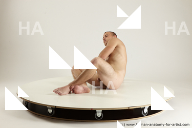 rex laying 04 04b