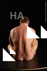 sitting reference herbert29