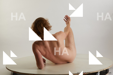 laying reference arvid04