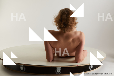 laying reference arvid12