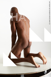 Nude Man Black Slim Bald Standard Photoshoot Realistic
