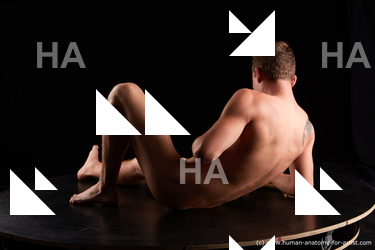 various reference ross04