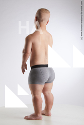 Underwear Man White Average Short Brown Standard Photoshoot Academic