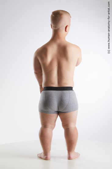 Underwear Man White Average Short Brown Standard Photoshoot Academic