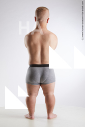 Underwear Man White Average Short Brown Standard Photoshoot Academic
