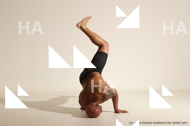 Underwear Man Black Muscular Bald Dancing Dynamic poses Academic