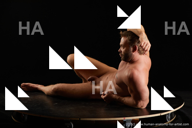 laying reference herbert 02