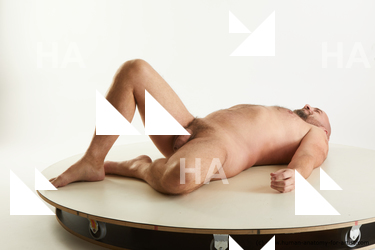 laying reference neeo 02