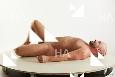 laying reference neeo 03