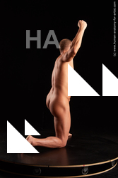 Nude Man White Kneeling poses - ALL Muscular Bald Kneeling poses - on one knee Standard Photoshoot Realistic