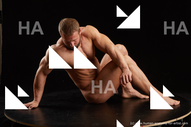 Nude Man White Sitting poses - simple Muscular Short Brown Sitting poses - ALL Standard Photoshoot Realistic