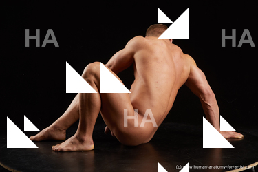 Nude Man White Sitting poses - simple Muscular Short Brown Sitting poses - ALL Standard Photoshoot Realistic