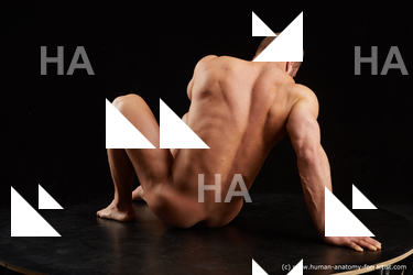 Nude Man White Sitting poses - simple Muscular Short Brown Sitting poses - ALL Standard Photoshoot Realistic