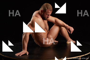 Nude Man White Sitting poses - simple Muscular Short Brown Sitting poses - ALL Standard Photoshoot Realistic