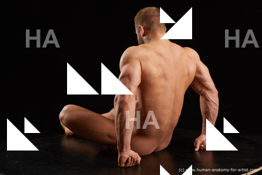Nude Man White Sitting poses - simple Muscular Short Brown Sitting poses - ALL Standard Photoshoot Realistic