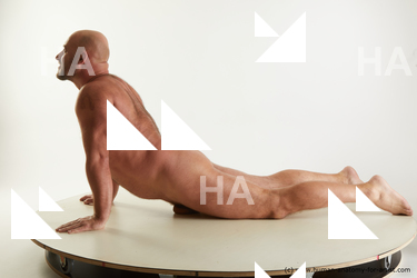 laying reference neeo 02