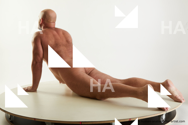 laying reference neeo 03