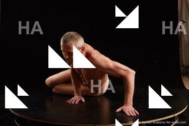 laying reference joseph 02