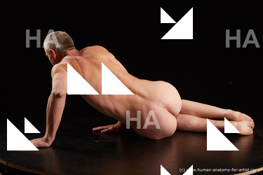 laying reference joseph 04