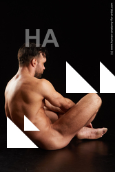 sitting reference larry steel 06