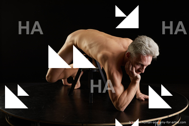 laying reference lutro 08