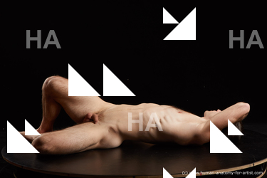 laying reference tomas salek 05