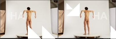 stereoscopic henry 092