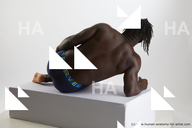 laying reference katoabimbo 05