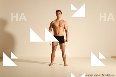 Underwear Fighting Man White Muscular Short Brown Dynamic poses Academic