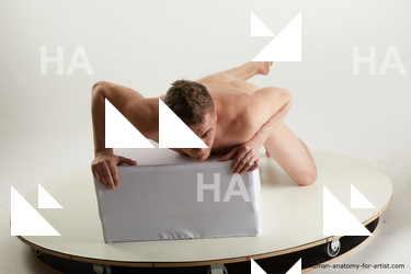 laying reference steve q 07