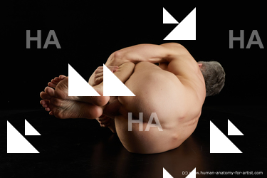 laying reference lutro 04