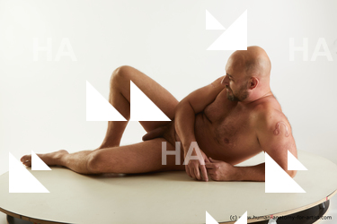 laying reference neeo 02