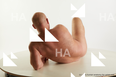 laying reference neeo 04