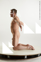 kneeling reference steve q 03