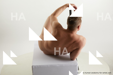 laying reference steve q 07