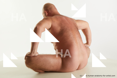 Nude Man White Sitting poses - simple Bald Sitting poses - ALL Standard Photoshoot Chubby Realistic
