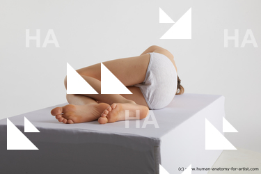 laying reference novel 04