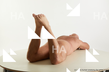 laying reference neeo 04