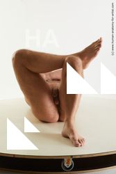 laying reference neeo 01