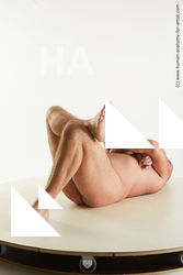 laying reference neeo 02